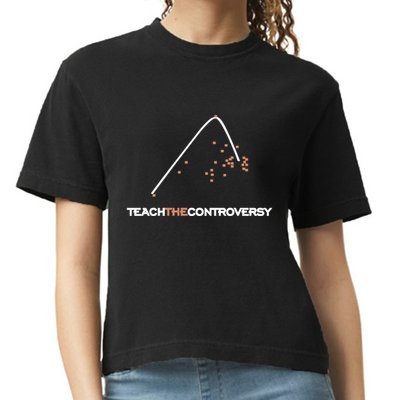Matt Darling Wearing Teach The Controversy Comfort Colors Boxy T-Shirt