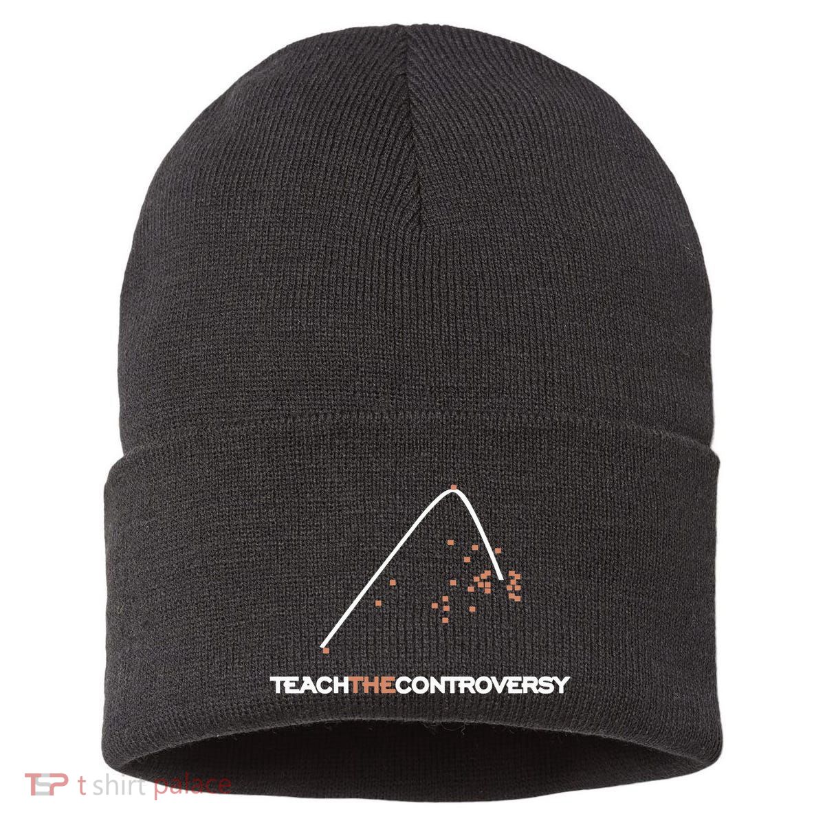 Matt Darling Wearing Teach The Controversy Sustainable Knit Beanie