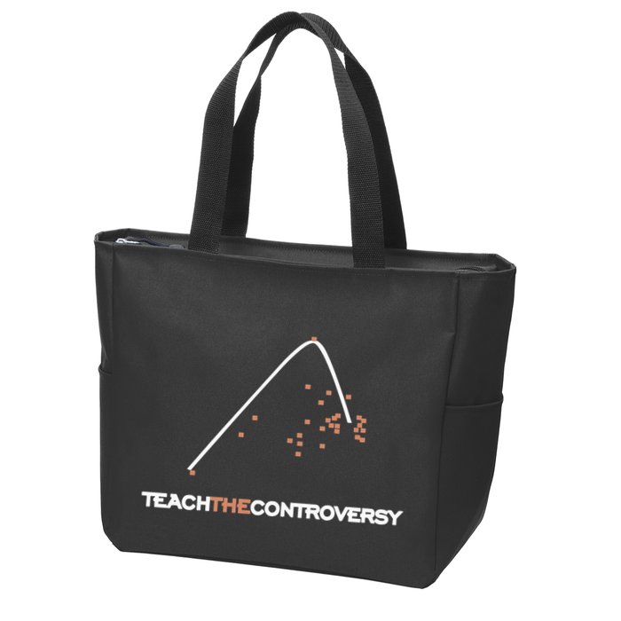 Matt Darling Wearing Teach The Controversy Zip Tote Bag