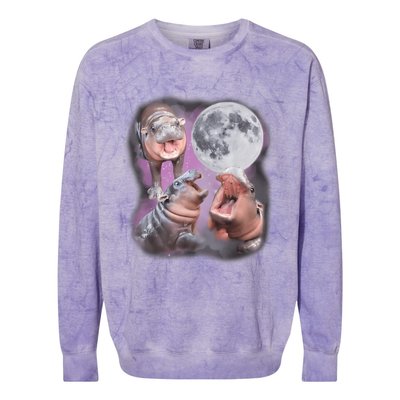 Moo Deng With The Moon Colorblast Crewneck Sweatshirt