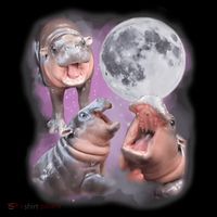 Moo Deng With The Moon Hooded Wearable Blanket