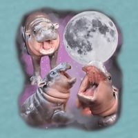 Moo Deng With The Moon Sueded Cloud Jersey T-Shirt