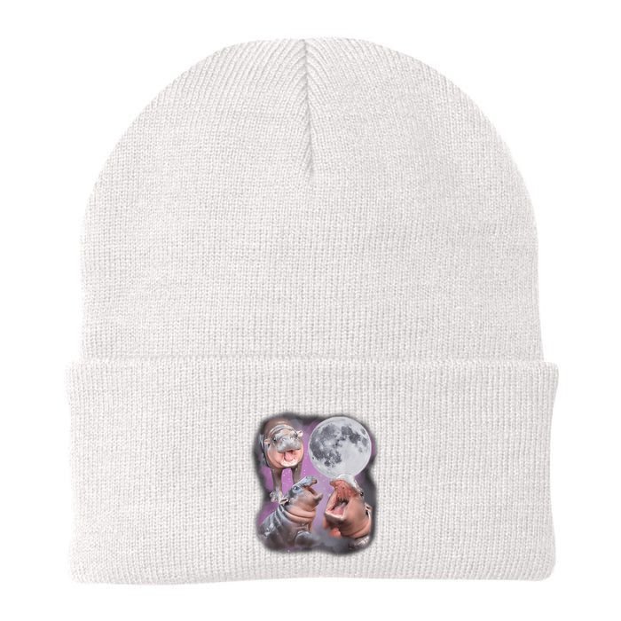 Moo Deng With The Moon Beanie