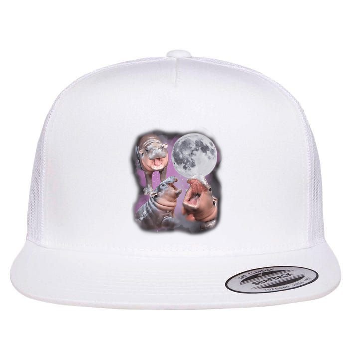 Moo Deng With The Moon Flatbill Hat