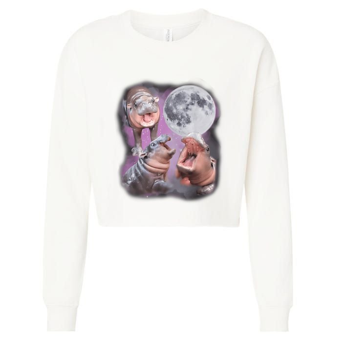 Moo Deng With The Moon Cropped Pullover Crew