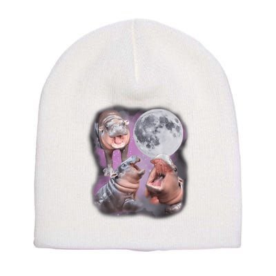 Moo Deng With The Moon Short Acrylic Beanie