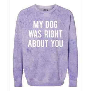 My Dog Was Right About You Funny Sarcastic Dog Gift Colorblast Crewneck Sweatshirt