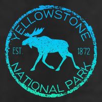 Moose Design Yellowstone National Park Souvenir HikerS 11oz C Handle Ceramic Mug