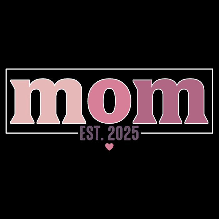 Mama Est. 2025 Expect Baby New Mom Mothers Day Hoodie