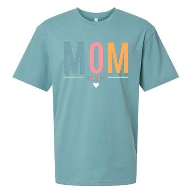 Mom Est 2024 Expect Baby 2024 Mother 2024 New Mama Mommy Sueded Cloud Jersey T-Shirt