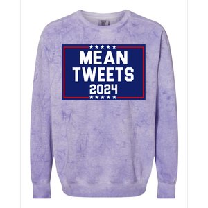 Mean Tweets 2024 Pro Trump Election Colorblast Crewneck Sweatshirt