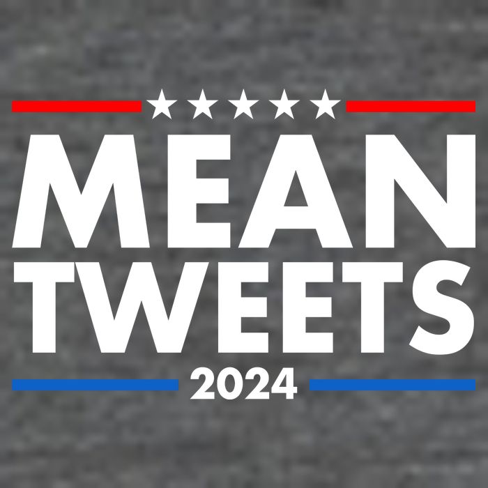 Mean Tweets Trump Election 2024 Kids Hoodie