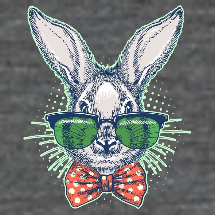 Mister Easter Bunny Matching Family Couple Tall T-Shirt