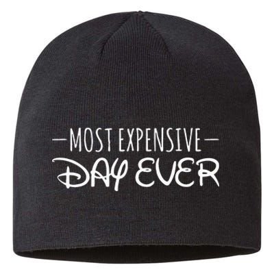 Most Expensive Day Ever Funny Sustainable Beanie