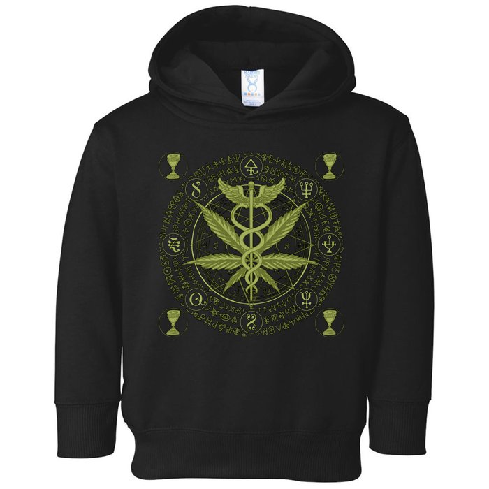 Medical Marijuana Alchemy Circle Toddler Hoodie