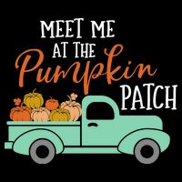 Meet Me at the Pumpkin Patch Cropped Pullover Crew