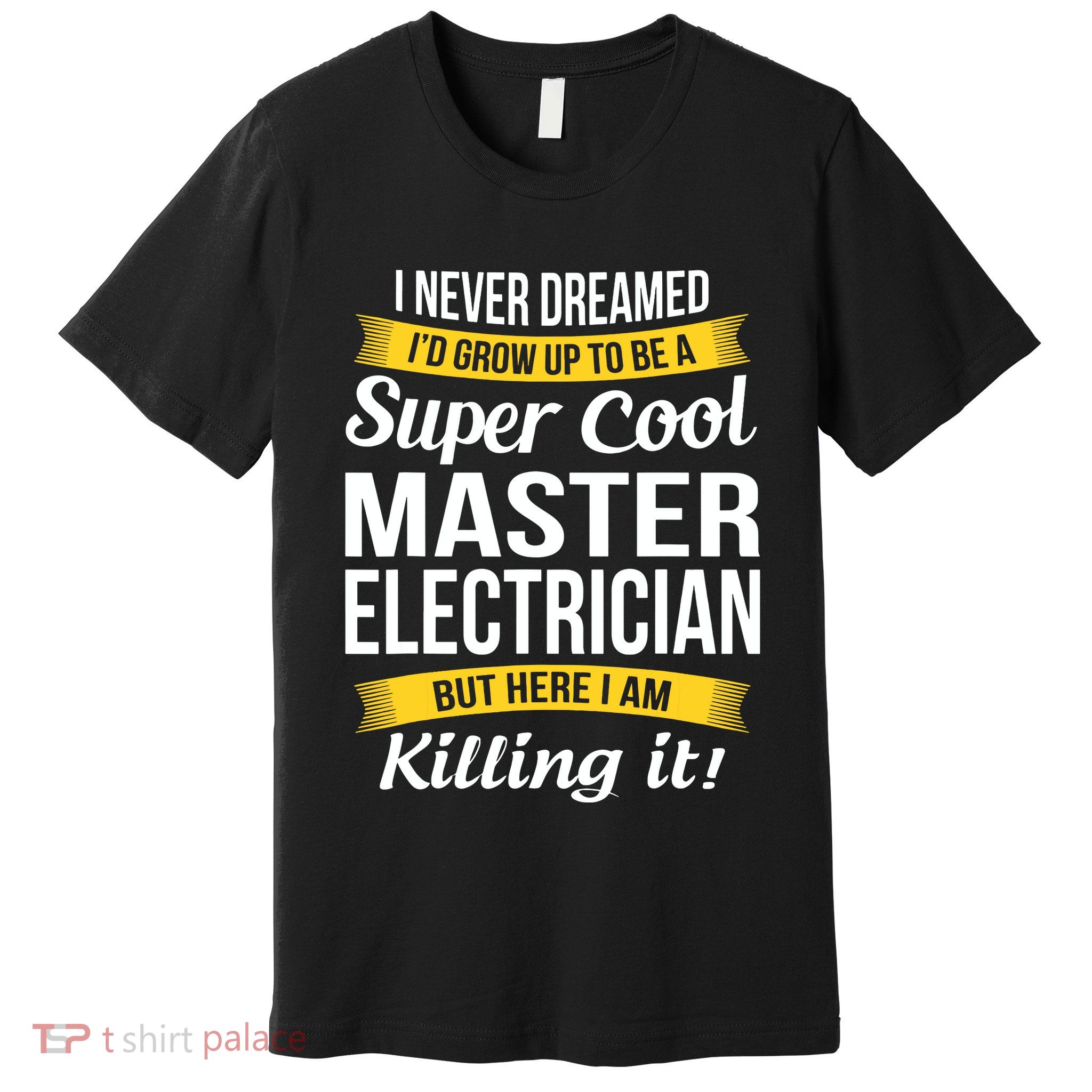 Master Electrician Funny Gift Premium T-Shirt