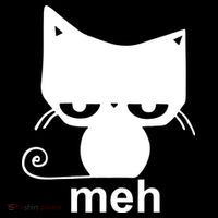 Meh Cat Funny Meme High Crown Mesh Back Trucker Hat