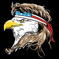 Merica Eagle Mullet 4th Of July Cropped Pullover Crew