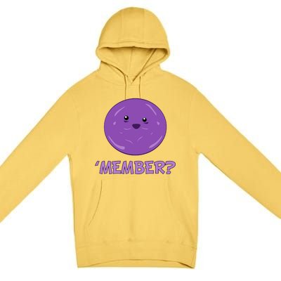 Member Berries 'Member? Funny Berry Meme Premium Pullover Hoodie