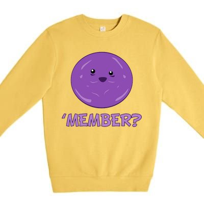 Member Berries 'Member? Funny Berry Meme Premium Crewneck Sweatshirt