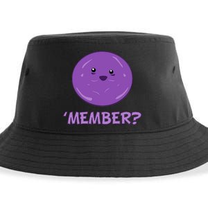 Member Berries 'Member? Funny Berry Meme Sustainable Bucket Hat