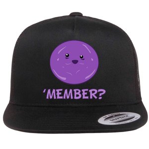 Member Berries 'Member? Funny Berry Meme Flat Bill Trucker Hat