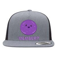 Member Berries 'Member? Funny Berry Meme Flat Bill Trucker Hat