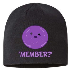 Member Berries 'Member? Funny Berry Meme Sustainable Beanie