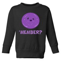 Member Berries 'Member? Funny Berry Meme Toddler Sweatshirt