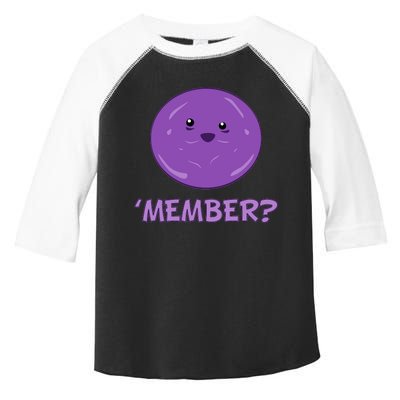 Member Berries 'Member? Funny Berry Meme Toddler Fine Jersey T-Shirt