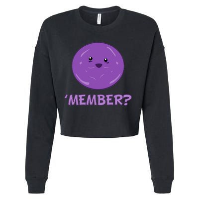 Member Berries 'Member? Funny Berry Meme Cropped Pullover Crew