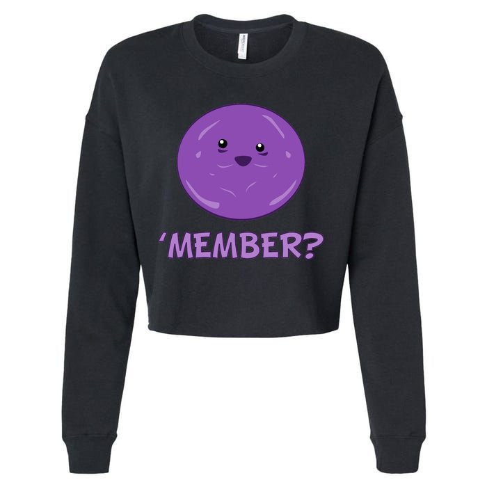 Member Berries 'Member? Funny Berry Meme Cropped Pullover Crew