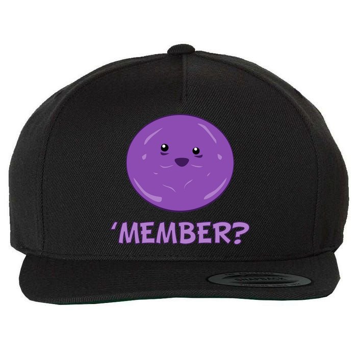 Member Berries 'Member? Funny Berry Meme Wool Snapback Cap