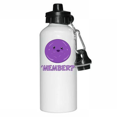 Member Berries 'Member? Funny Berry Meme Aluminum Water Bottle