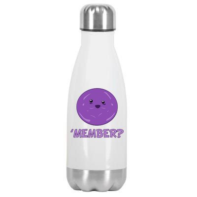 Member Berries 'Member? Funny Berry Meme Stainless Steel Insulated Water Bottle