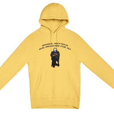 Memes Mittens And Medicare For All Premium Pullover Hoodie