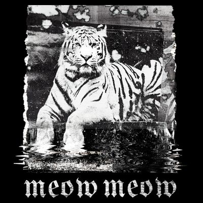 Meow Tiger Glitch T-Shirt
