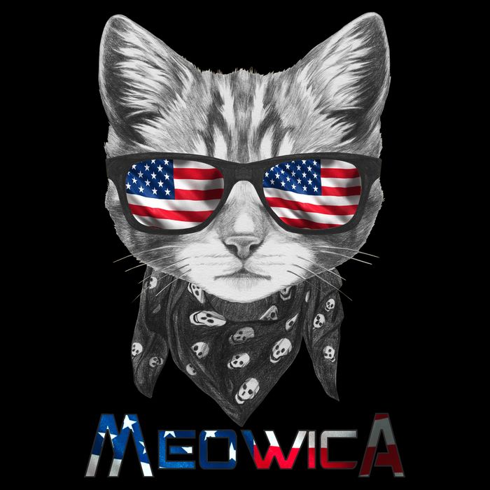 Meowica Rock Cat Funny 4th of July USA Freedom Mug