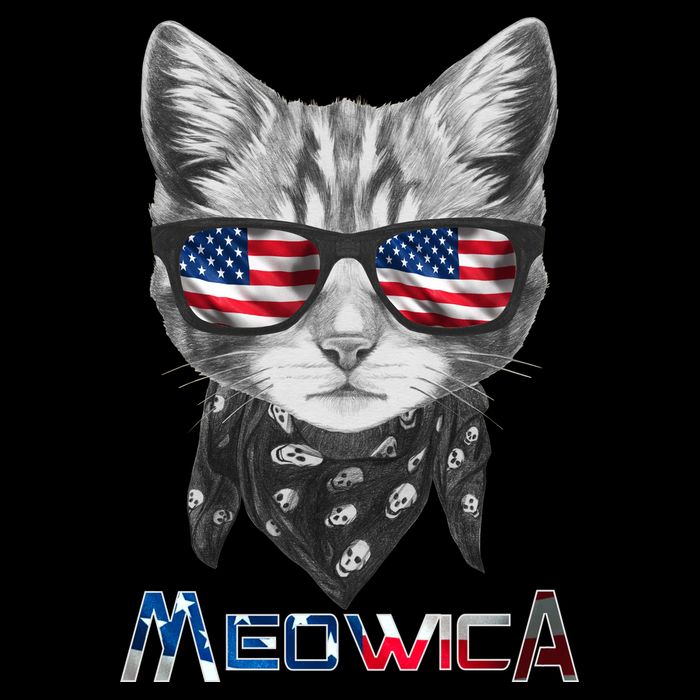 Meowica Rock Cat Funny 4th of July USA Freedom Mesh Reversible Basketball Jersey Tank