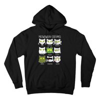 Meowoween Costumes Funny Cat Halloween Hoodie