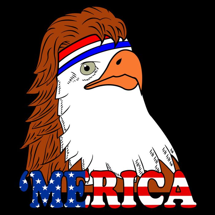 Merica Bald Eagle Retro USA Flag 16 in Basic Backpack