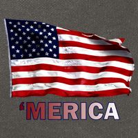 Merica Flag Wave Cotton Canvas Backpack
