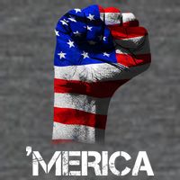 Merica Freedom Fist Womens T-Shirt