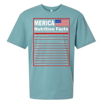 Merica Nutrition Facts Sueded Cloud Jersey T-Shirt