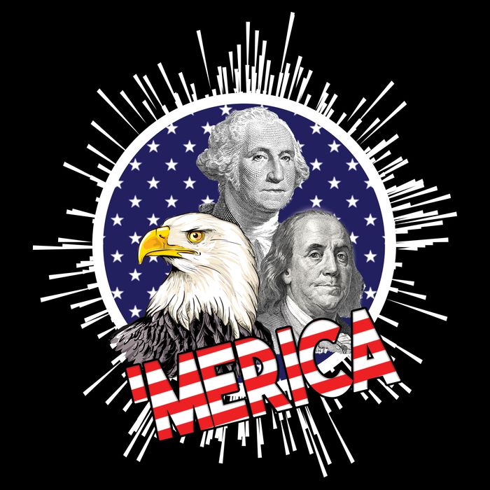 Merica US Presidents Bald Eagle USA Flag Flatbill Hat