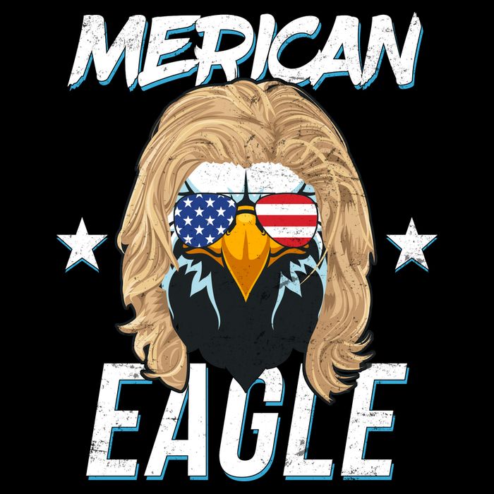 Merican Eagle Cropped Pullover Crew
