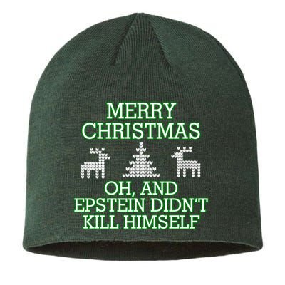 Merry Christmas Epstein Didn't Kill Himself Sustainable Beanie