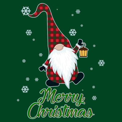 Merry Christmas Plaid Garden Gnome T-Shirt