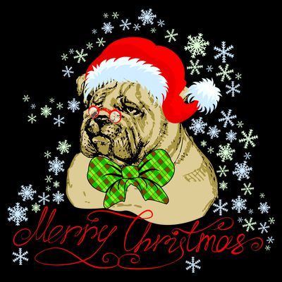 Merry Christmas Santa Pug T-Shirt